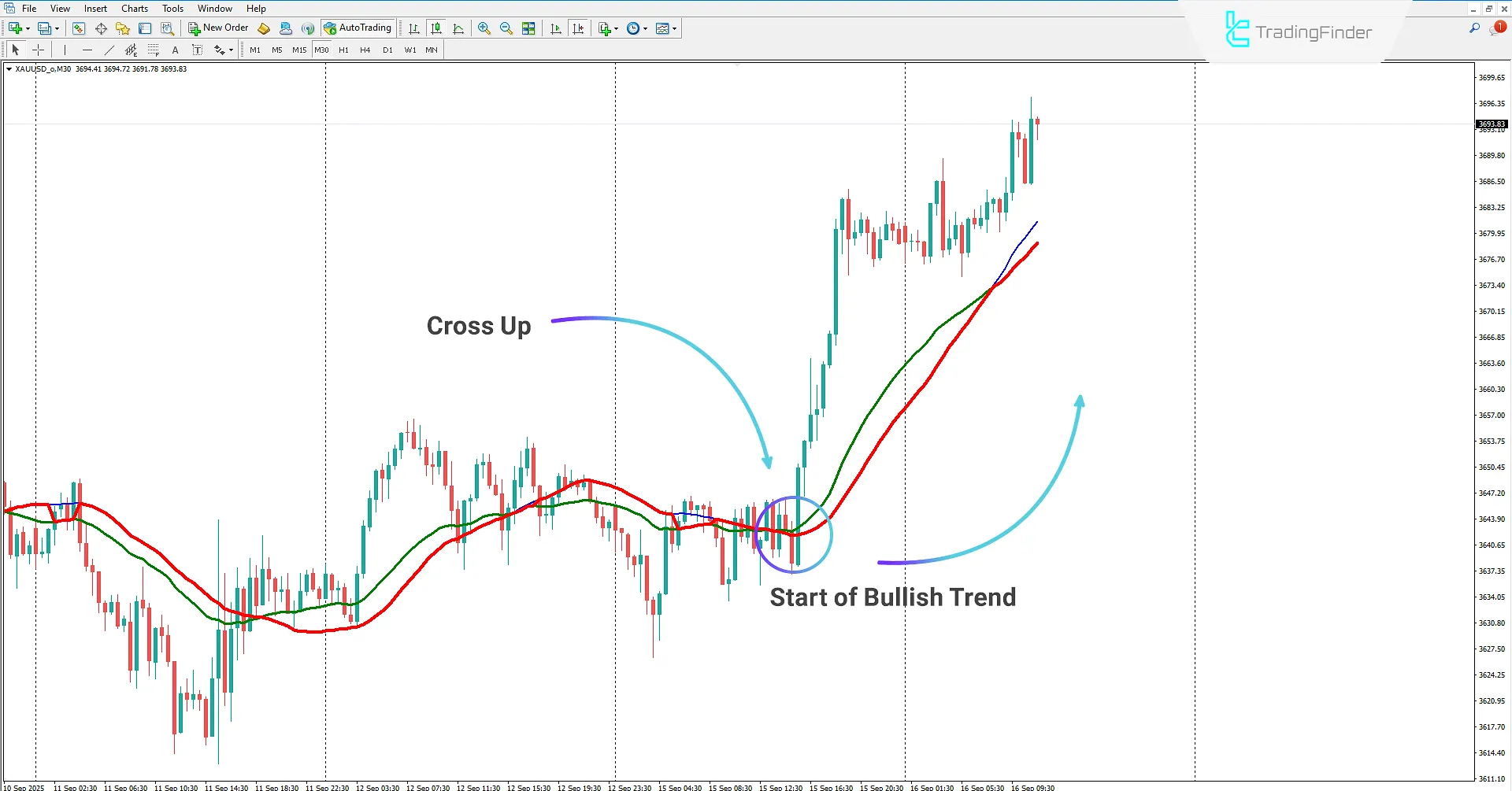 Cluster Filter Indicator in MetaTrader 4 Download – TradingFinder 1