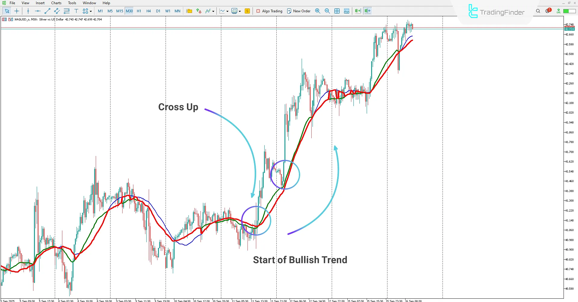 Cluster Filter Indicator for MetaTrader 5 Download – TradingFinder 1