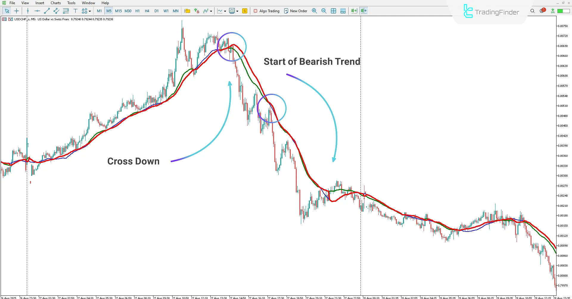 Cluster Filter Indicator for MetaTrader 5 Download – TradingFinder 2