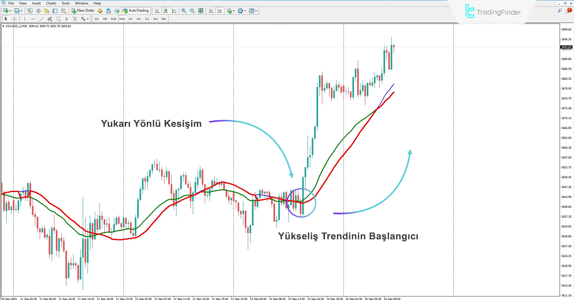 Cluster Filter Göstergesi MetaTrader 4 İndir - TradingFinder 1