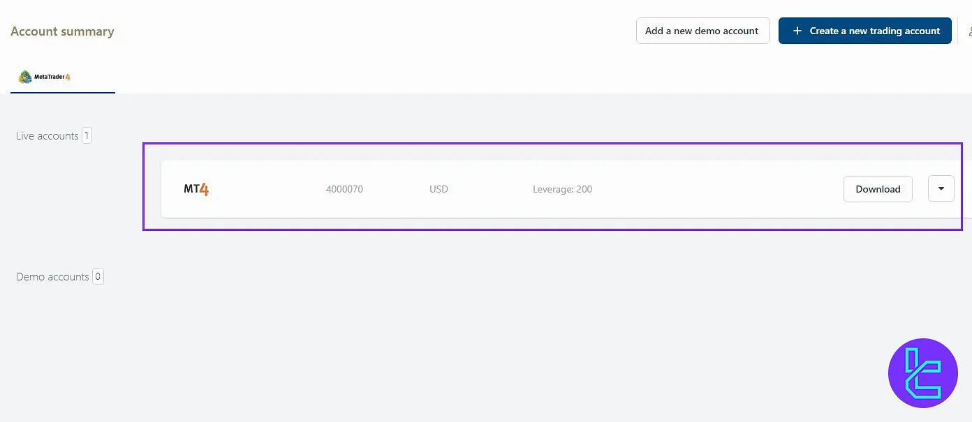 Account Summary section in the ICM.com panel