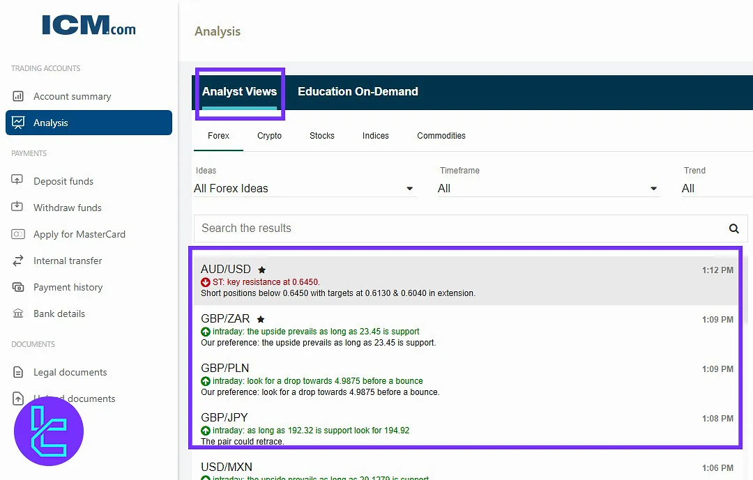 Analysis in the ICM.com client area