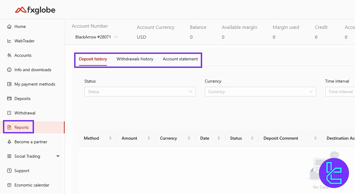 FXGlobe dashboard, reports, and financial history