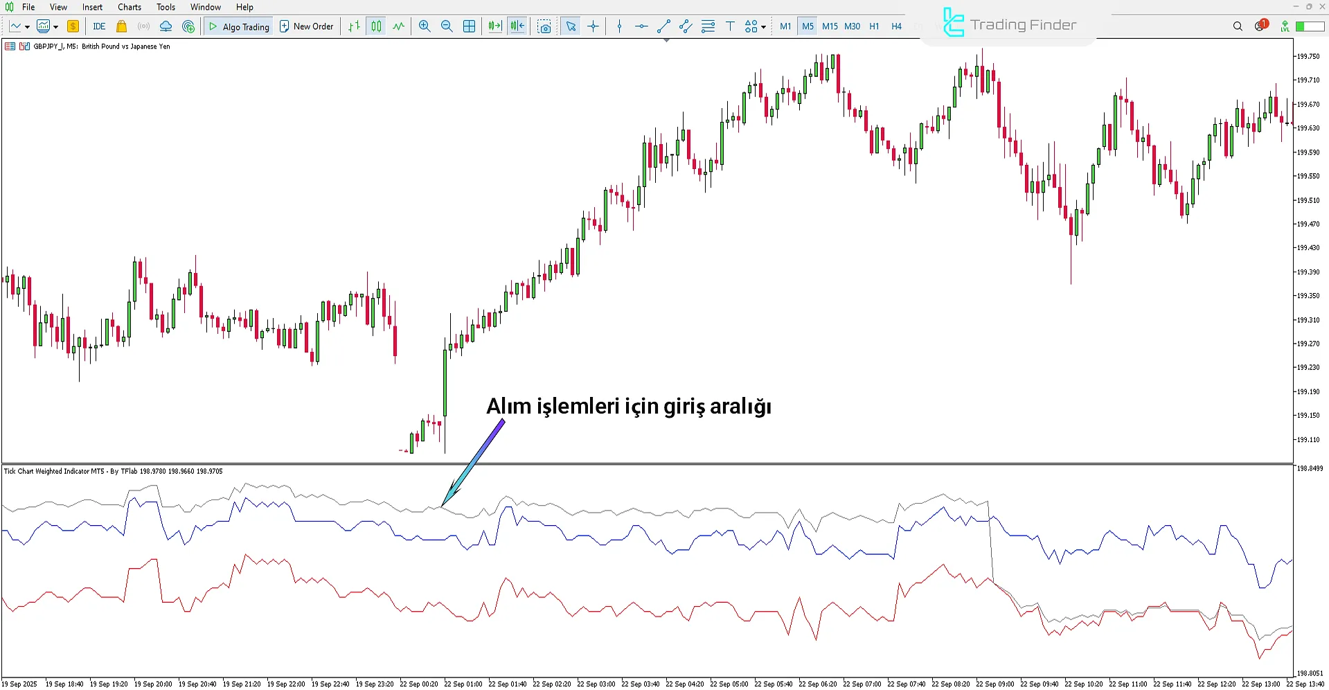 Tick Chart Weighted Göstergesi MetaTrader 5 - Ücretsiz İndirme [TradingFinder] 1