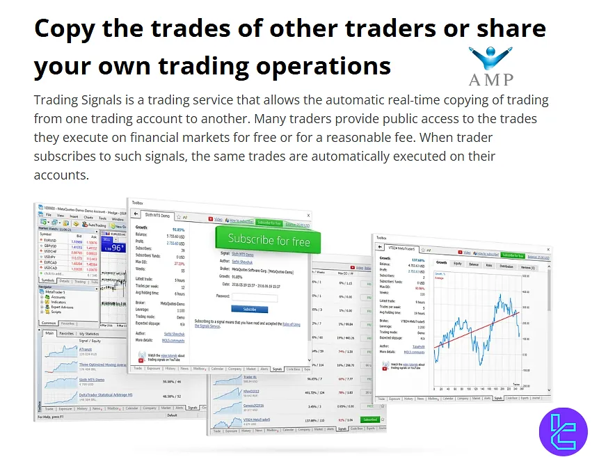 AMP Futures copy trading feature