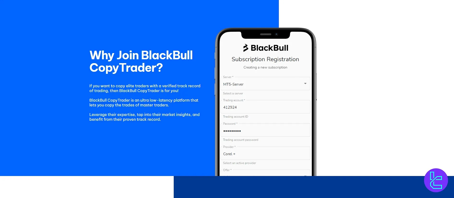 BlackBull copy trading tools