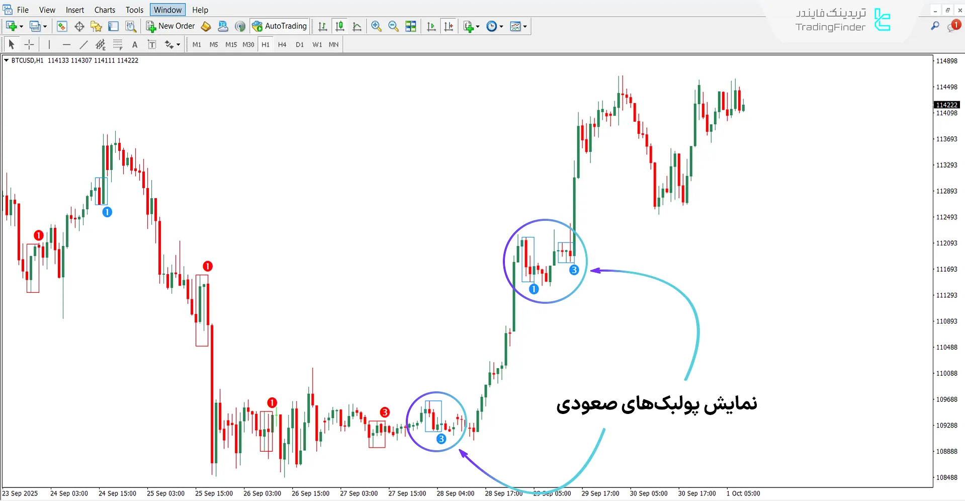 دانلود اندیکاتور پولبک معتبر برای متاتریدر 4 - رایگان - [تریدینگ فایندر] 1