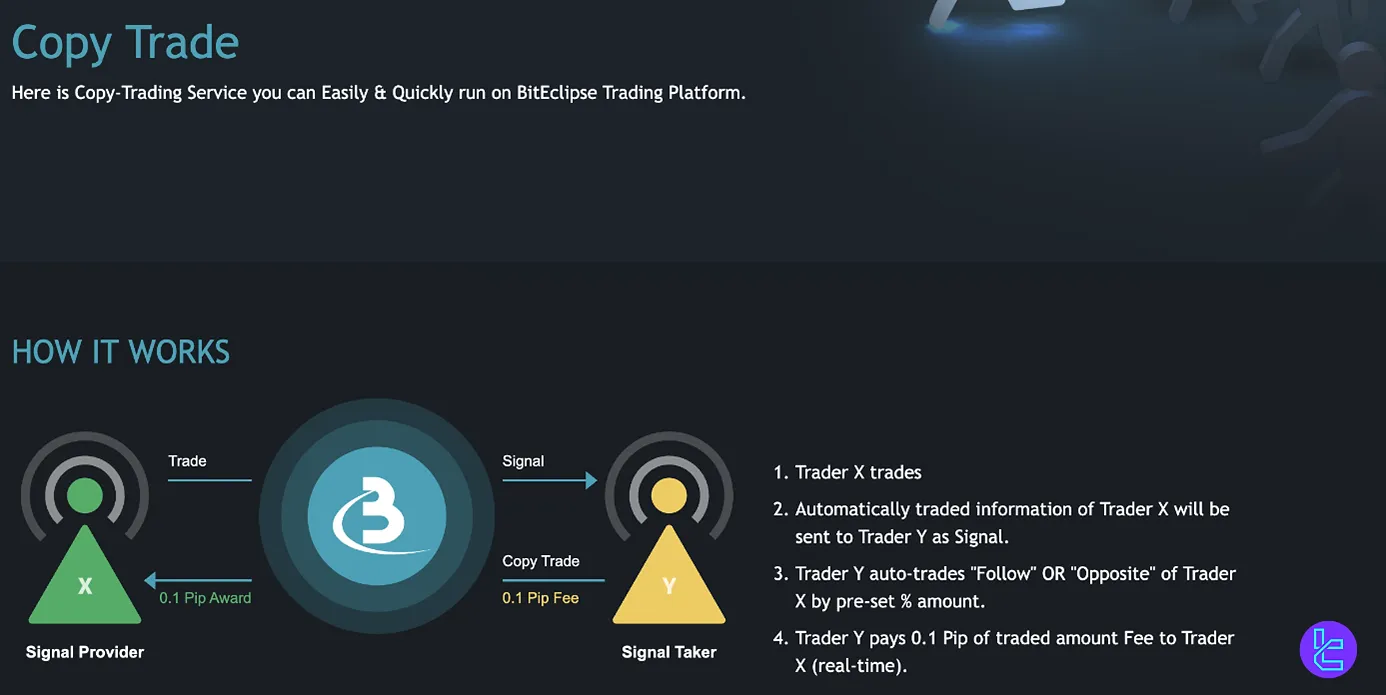 BitEclipse copy trading platform feature