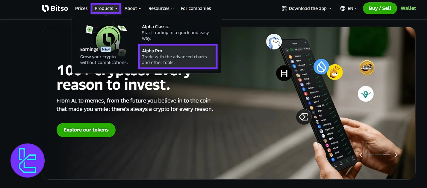 start trading on Bitso