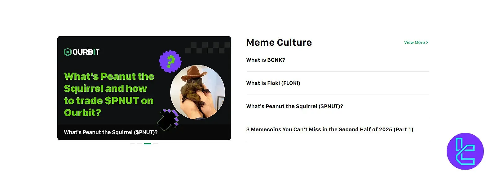 تمرکز صرافی اوربیت بر فرهنگ میم