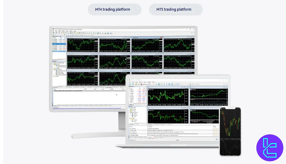 Gerchik&Co Trading Platforms