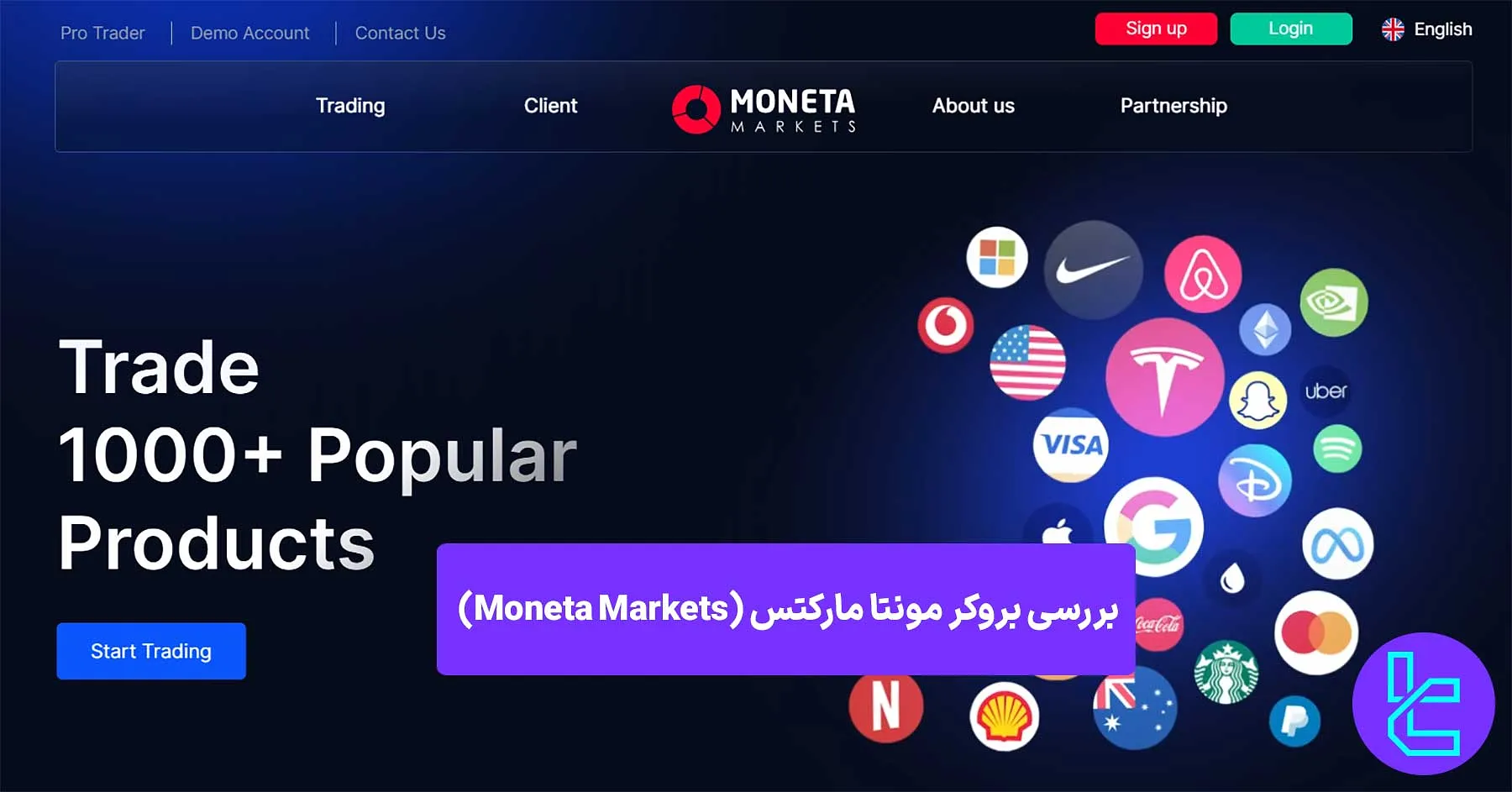 مونتا مارکتس