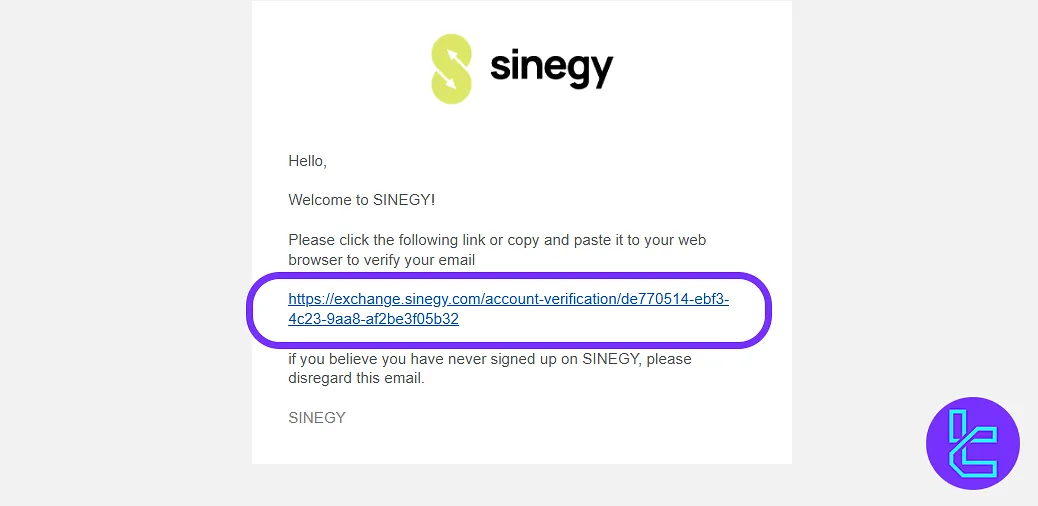 Sinegy signup email verification