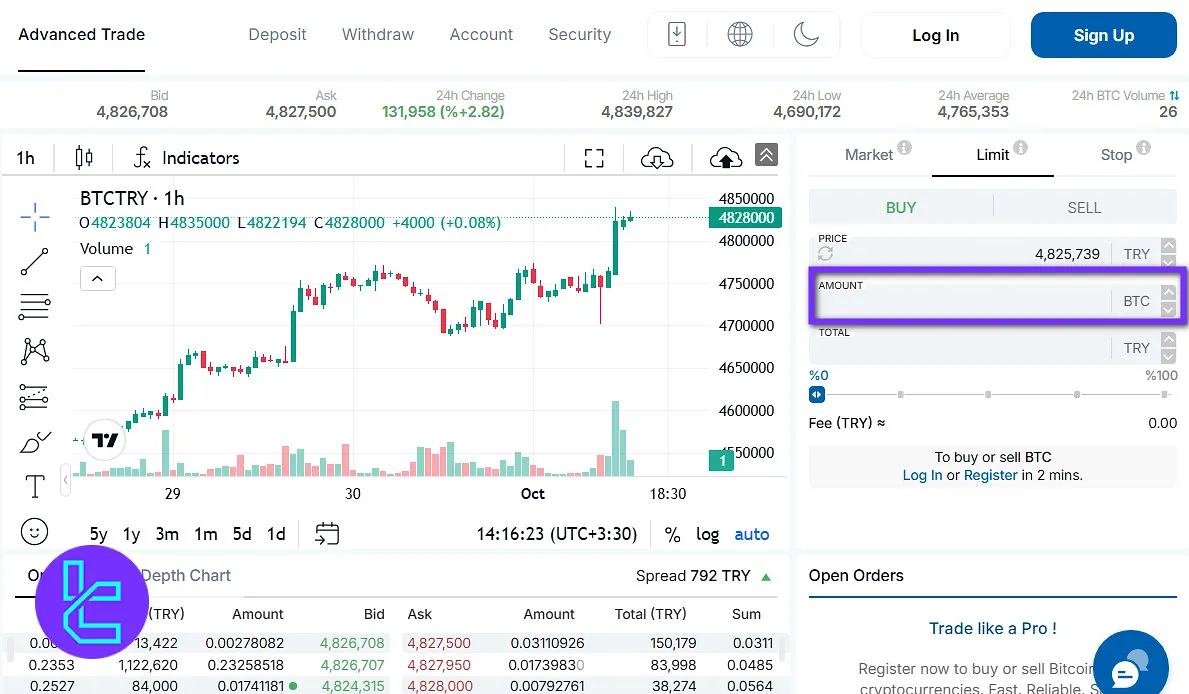 Enter trade size BtcTurk