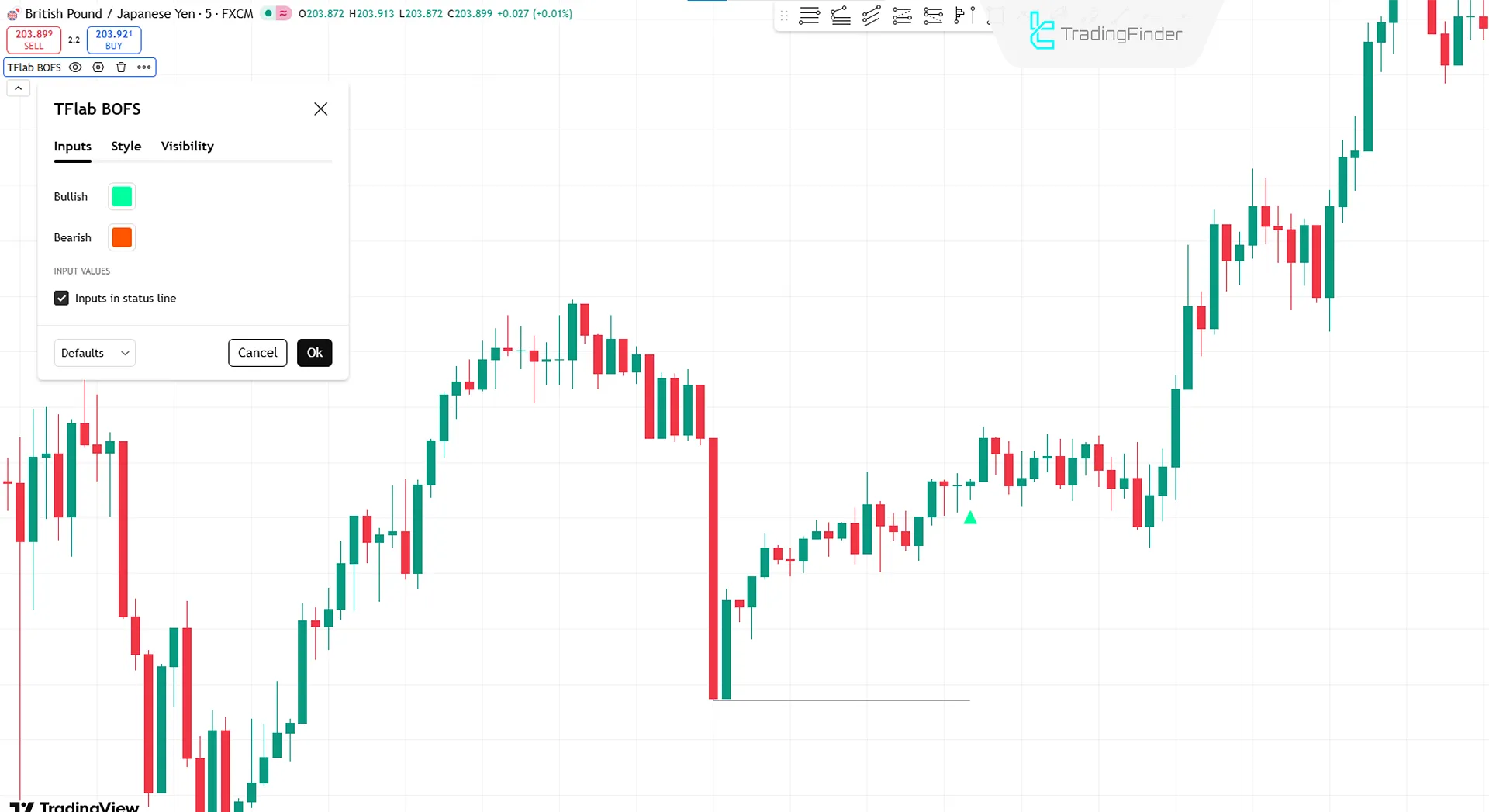 Binary Options Fast Scalping Gösterge ayarları