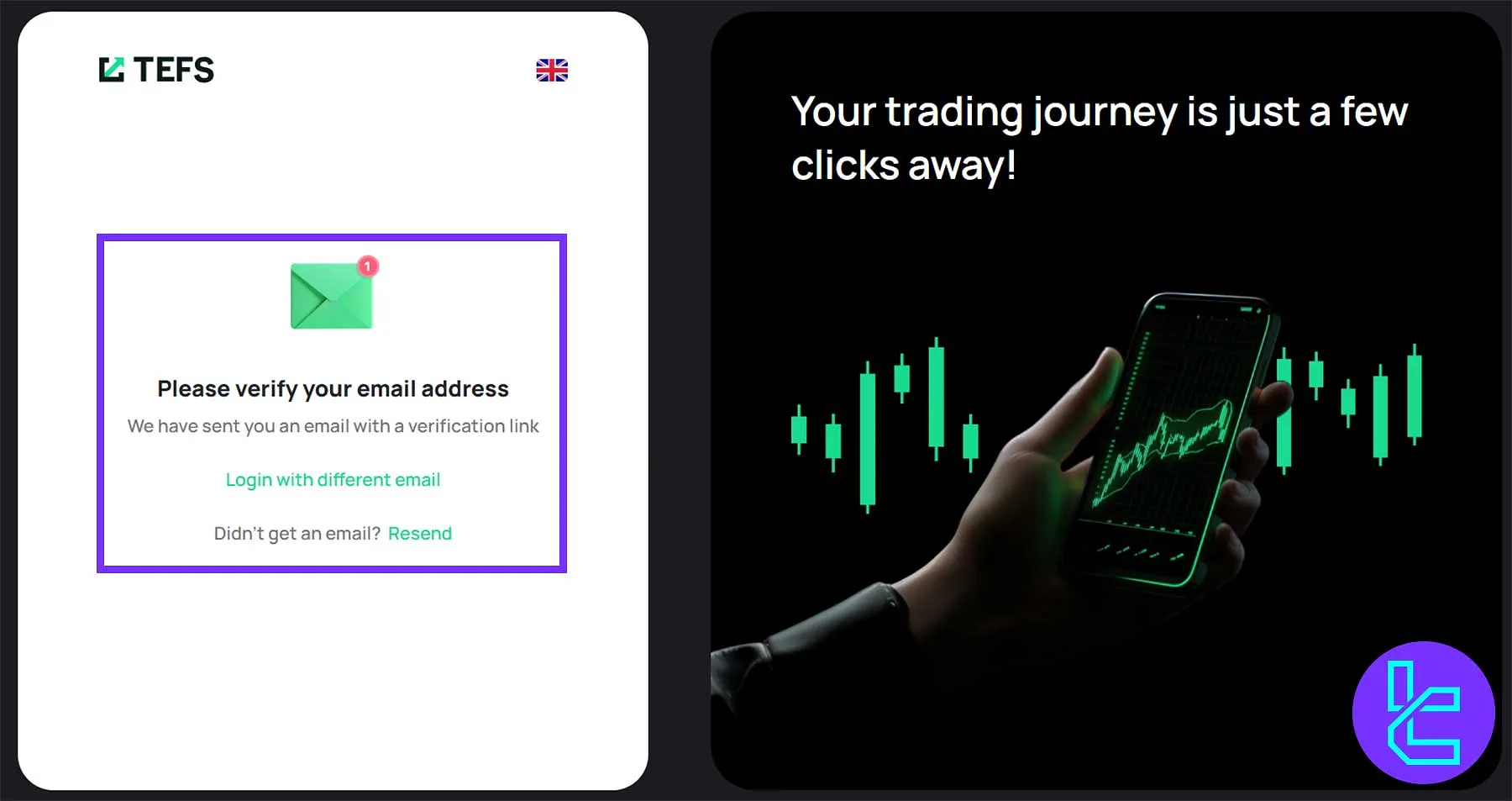 TEFS email verification screen with confirmation prompt