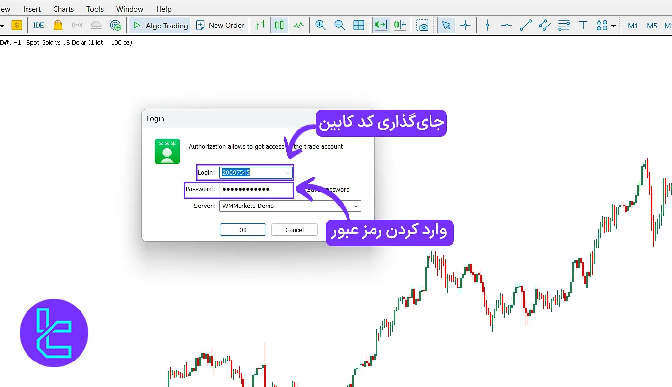 نحوه اتصال حساب زیرو دبلیو ام مارکتس به متاتریدر