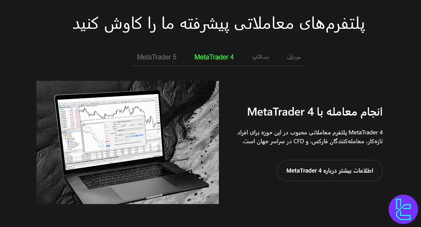 متاتریدر 4 آلپاری