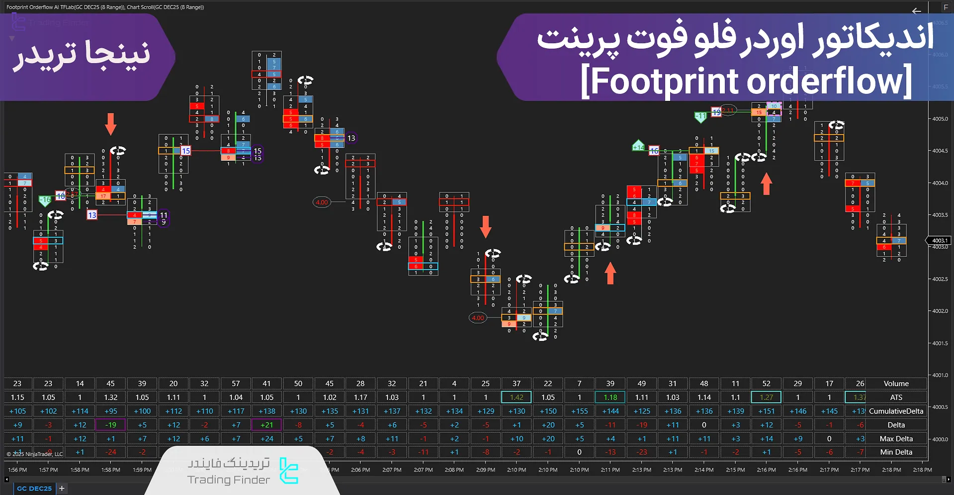 دانلود اندیکاتور اوردر فلو فوت پرینت (Footprint orderflow) در نینجاتریدر