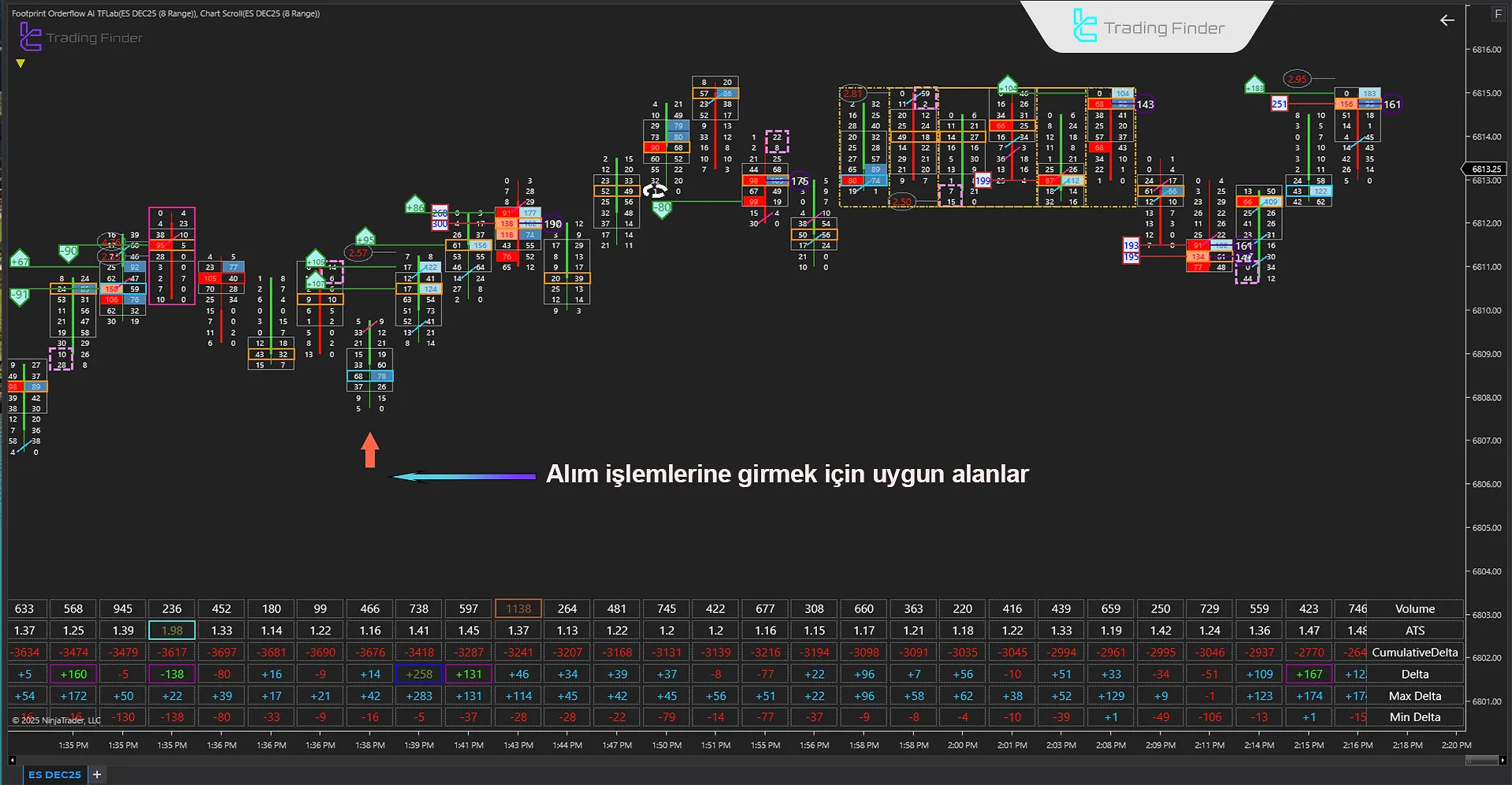Footprint Orderflow Göstergesi NinjaTrader’da - Ücretsiz İndirin [TradingFinder] 1