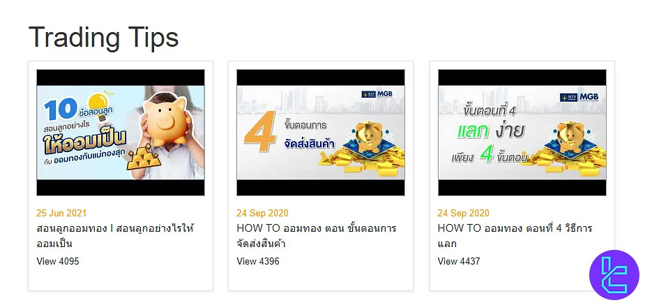 MTS Capital Trading Tips