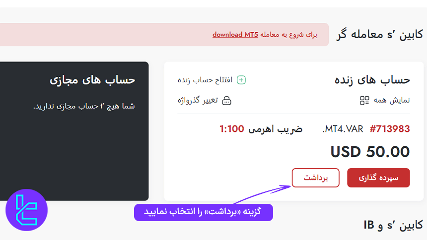 پنل کاربری تریدرز وی
