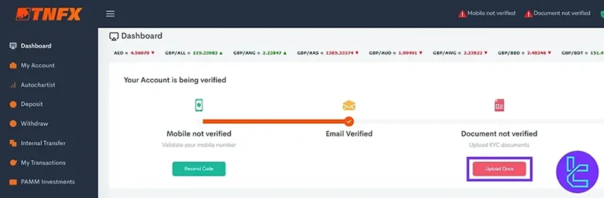 Begin TNFX verification