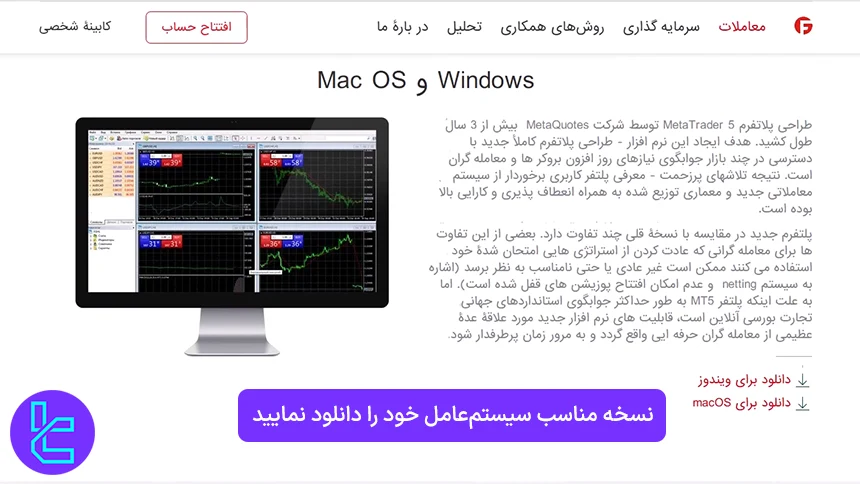 دانلود نسخه مناسب MT5 فیبوگروپ