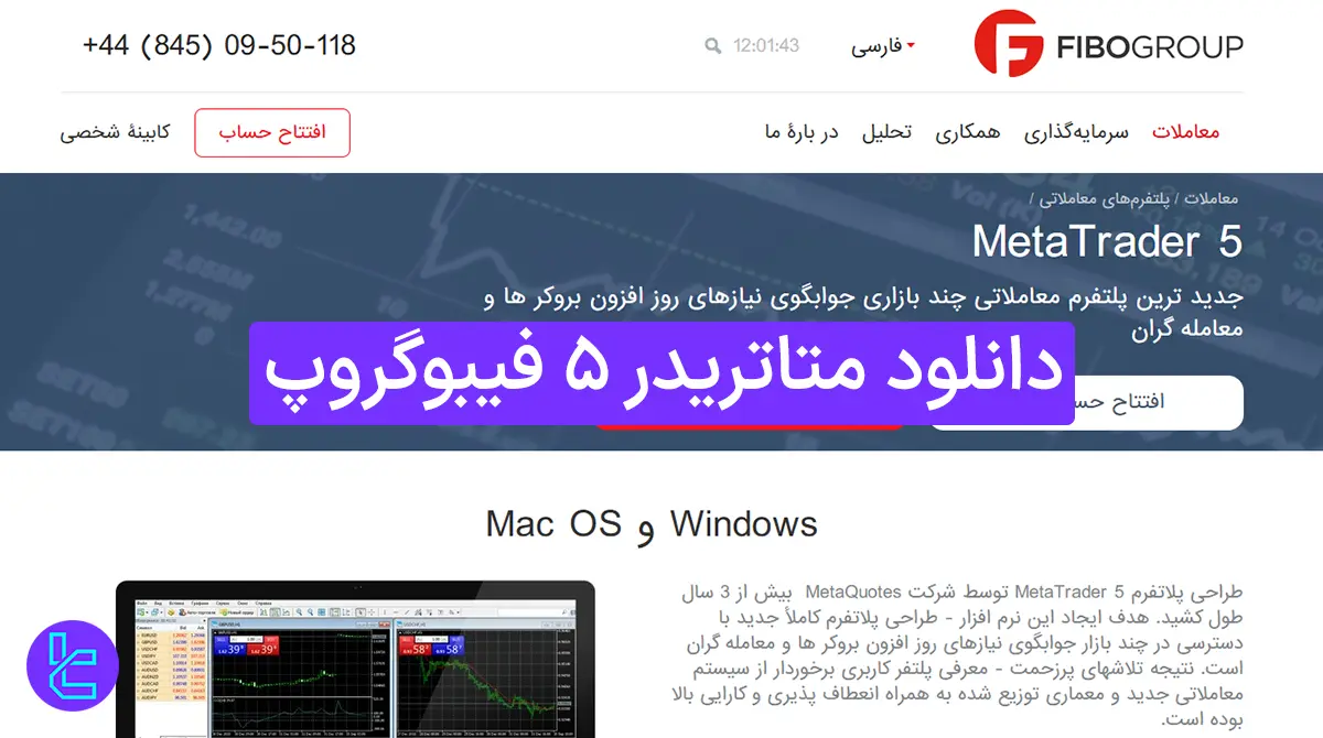 دانلود متاتریدر 5 فیبوگروپ (Fibo Group) 1404 [آموزش نصب MT5 در 3 مرحله]