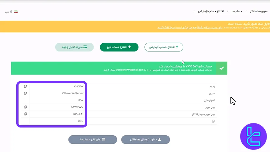 اطلاعات حساب دمو ویتاورس در متاتریدر 5