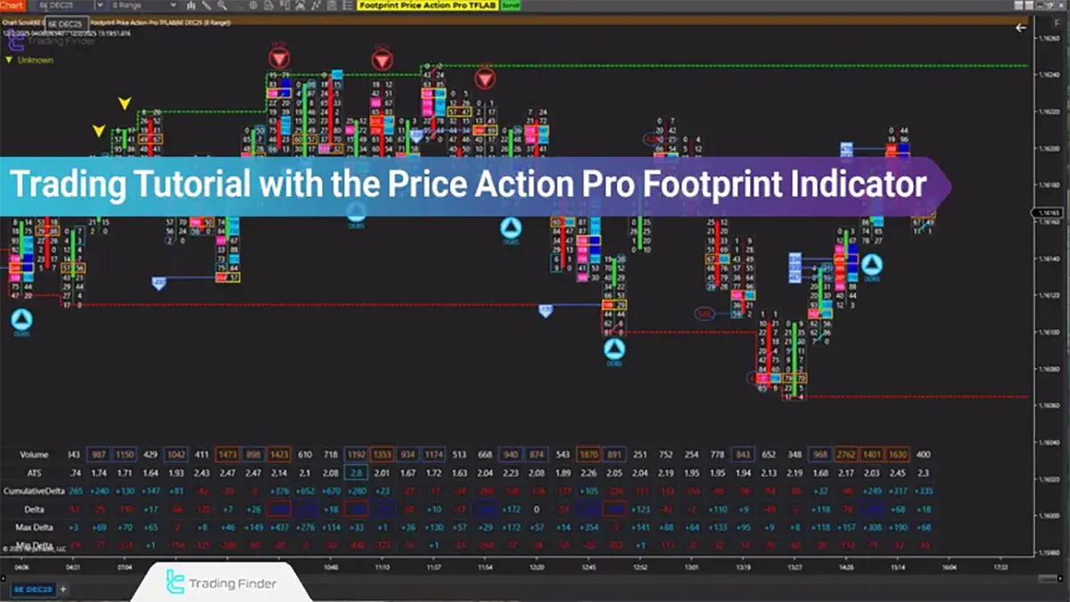 Footprint Price Action Pro Indicator Tutorial in NinjaTrader