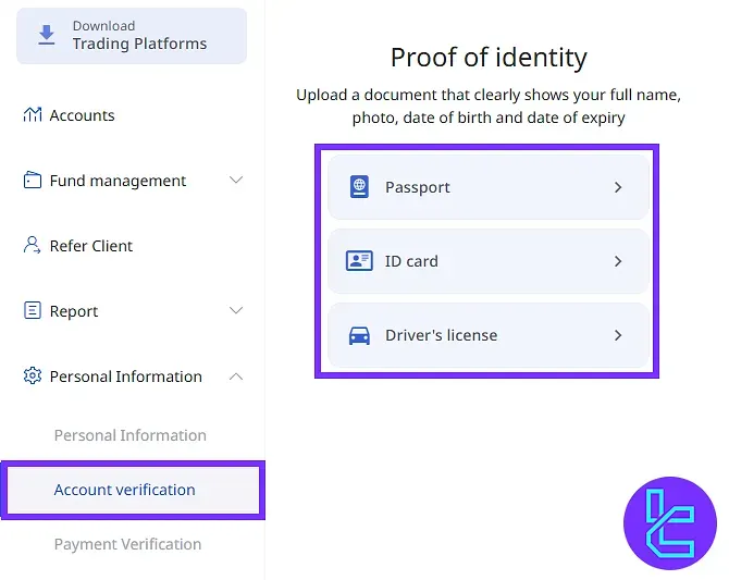 Begin ZFX verification