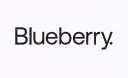 Blueberry Markets logo
