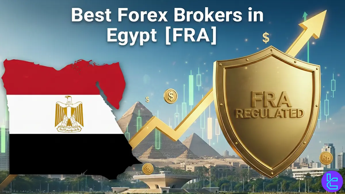 Best Forex Brokers in Egypt 2026 [FRA]
