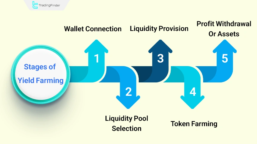 Yield farming stages