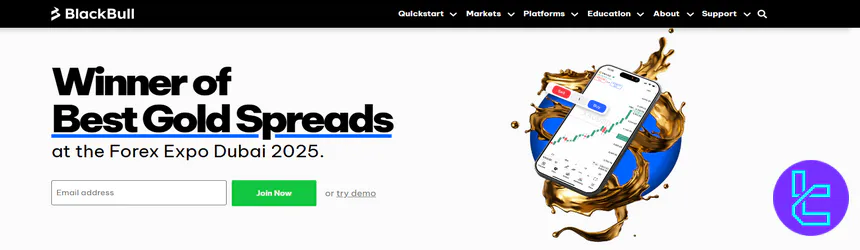 BlackBull Markets website