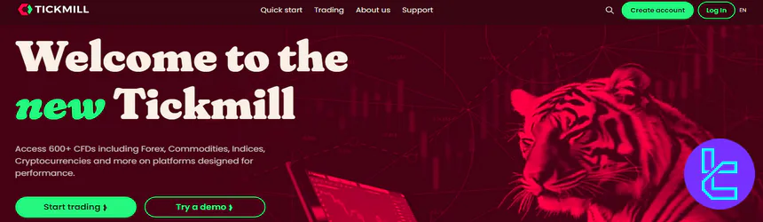 Tickmill website