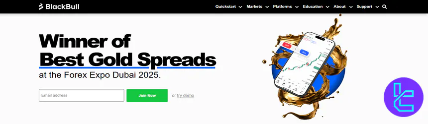 BlackBull Markets Website