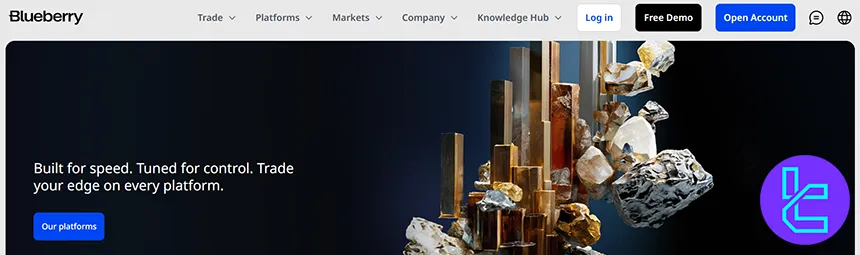 Blueberry Markets broker