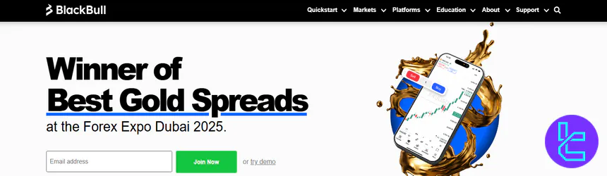 BlackBull Markets Website