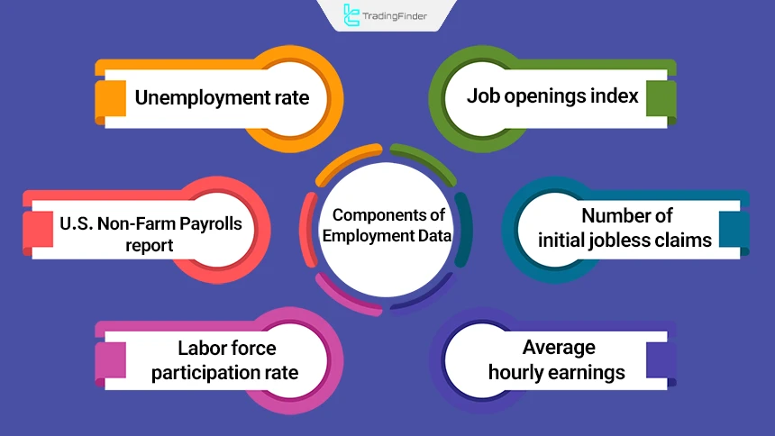 A view of the parameters of employment data components