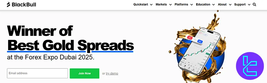 BlackBull Markets Broker