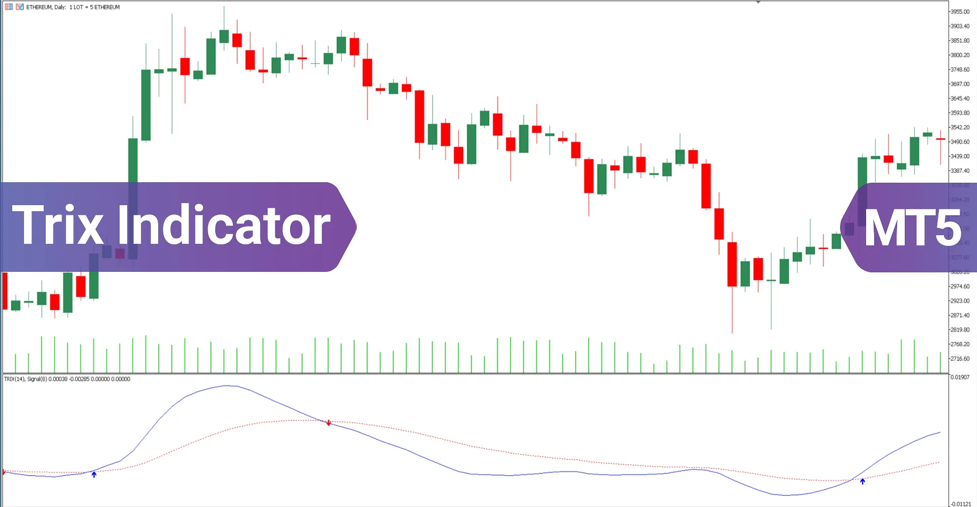 Triple Exponential Moving Average MetaTrader 5 Download - Free - [Trading Finder]